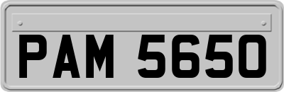 PAM5650