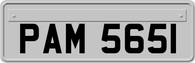 PAM5651
