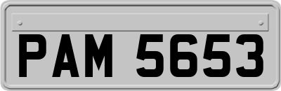 PAM5653
