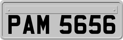 PAM5656