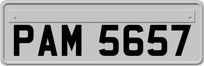 PAM5657