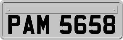 PAM5658