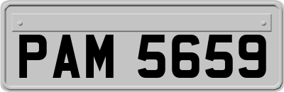 PAM5659
