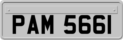 PAM5661