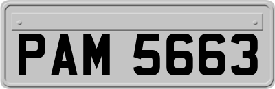 PAM5663