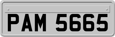PAM5665