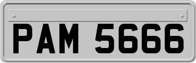 PAM5666