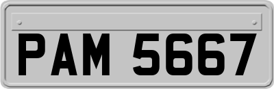 PAM5667