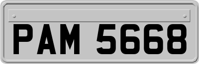 PAM5668