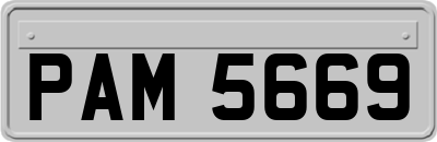 PAM5669