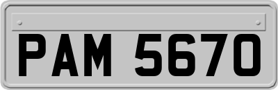 PAM5670