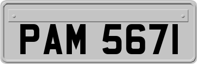 PAM5671