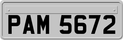 PAM5672