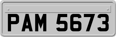 PAM5673