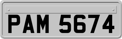 PAM5674