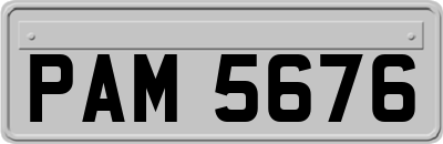 PAM5676