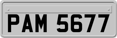 PAM5677
