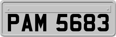 PAM5683