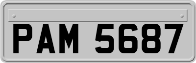 PAM5687