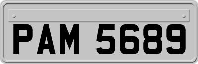 PAM5689