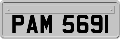 PAM5691