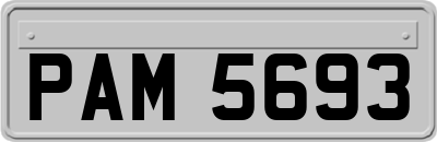 PAM5693