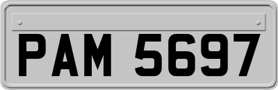 PAM5697