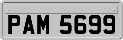 PAM5699