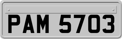 PAM5703