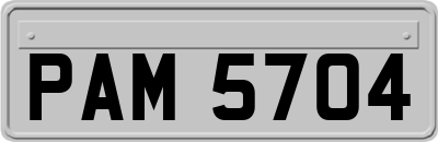 PAM5704