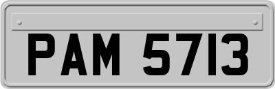 PAM5713