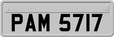 PAM5717