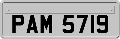 PAM5719