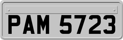 PAM5723