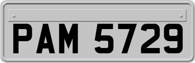 PAM5729