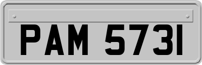 PAM5731