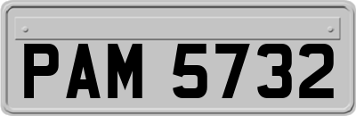 PAM5732