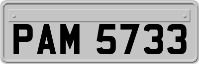 PAM5733