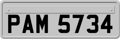 PAM5734