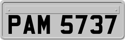 PAM5737