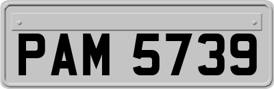 PAM5739