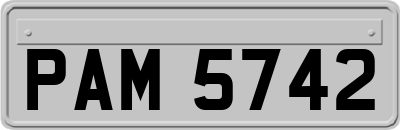 PAM5742