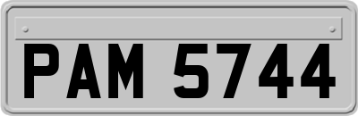 PAM5744