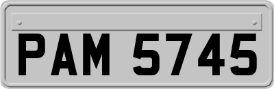PAM5745