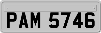 PAM5746
