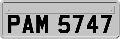 PAM5747
