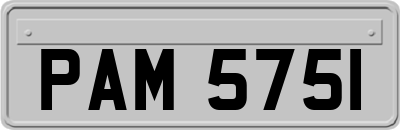 PAM5751