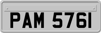 PAM5761