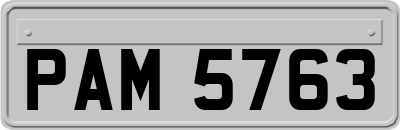 PAM5763