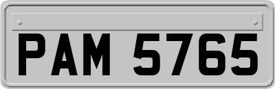 PAM5765